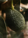 Vitamin-C-Serum